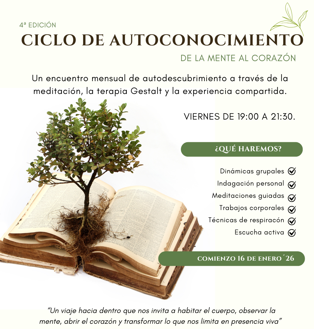 programa de meditación 